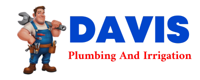 Trusted plumber in FORT NECESSITY